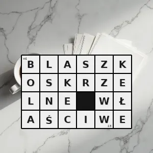 Hasło krzyżówkowe podgromada morskich i słodkowodnych małży o parzystych skrzelach których nici są połączone mostkami - blaszkoskrzelne właściwe – rozwiązanie, synonimy, podpowiedzi i definicje krzyżówkowe